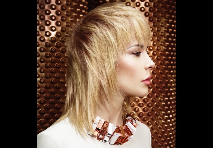 Shoulder Length Hairstyles