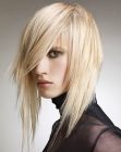Awesome Long Haircuts (26)