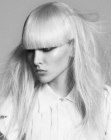 Awesome Long Haircuts (26)