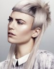 Pictures of Hairdos for Long Hair (22)