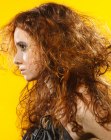 Pictures of Hairdos for Long Hair (22)