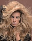 Pictures of Haircuts for Long Hair (21)
