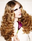 Pictures of Haircuts for Long Hair (21)