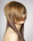 Photos of Haircuts for Long Hair (20)