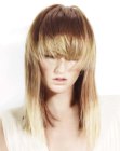Photos of Haircuts for Long Hair (20)