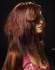 Pictures of Hairstyles for Long Hair (18)