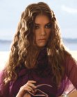Pics of Hairstyles for Long Hair (16)