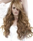 Pics of Hairstyles for Long Hair (16)