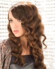 Pics of Hairstyles for Long Hair (16)