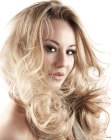 Pics of Hairstyles for Long Hair (16)
