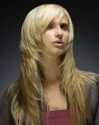 Photos of Styles for Long Hair (10)