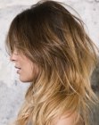 Pics of Long Hairstyles (5)