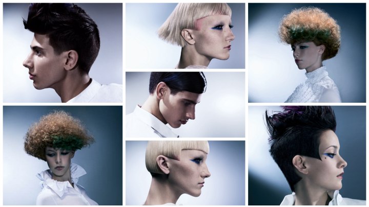 Geoganic by Sassoon