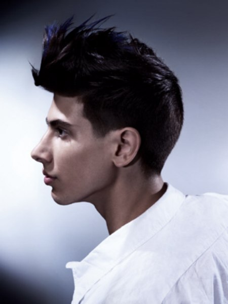Geoganic by Sassoon