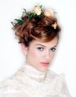 Pictures of Up Styles (2)