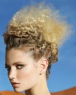 Pictures of Up Styles (2)
