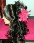 Pictures of Up Styles (2)
