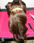 How to do a Medieval Queen Braid