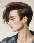 Today's Fashion Hairstyles
