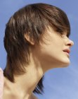 Today's Fashion Hairstyles
